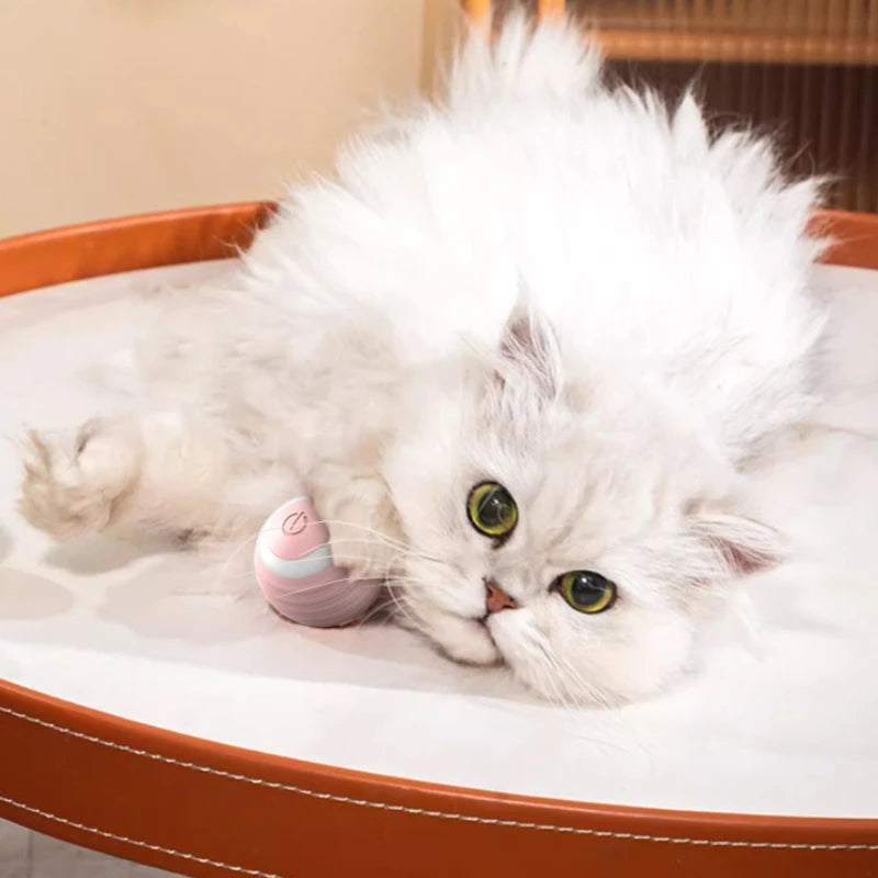 Balle Interactive pour Chat - Jouet Entraînement pour Chaton - Balle Électrique Automatique en Mouvement - Jouet Magique Électronique pour Chat