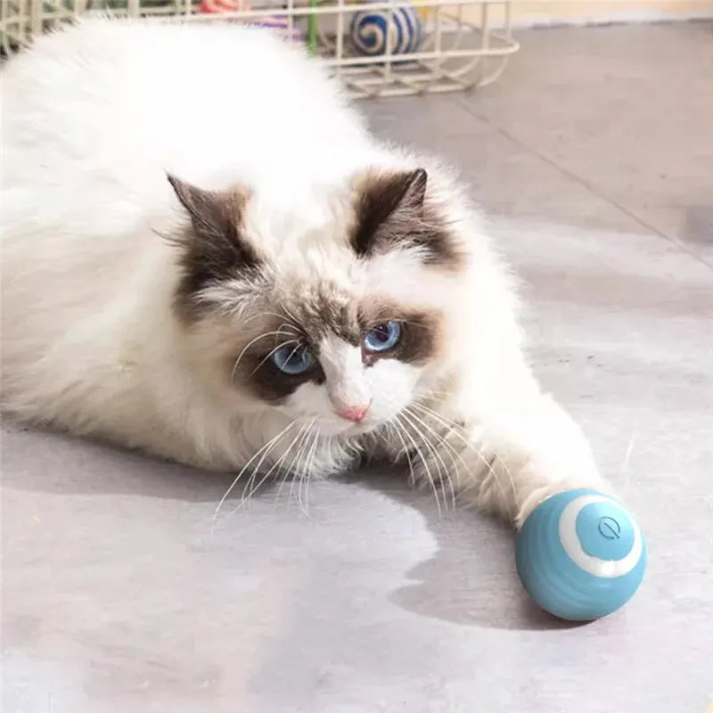 Balle Interactive pour Chat - Jouet Entraînement pour Chaton - Balle Électrique Automatique en Mouvement - Jouet Magique Électronique pour Chat