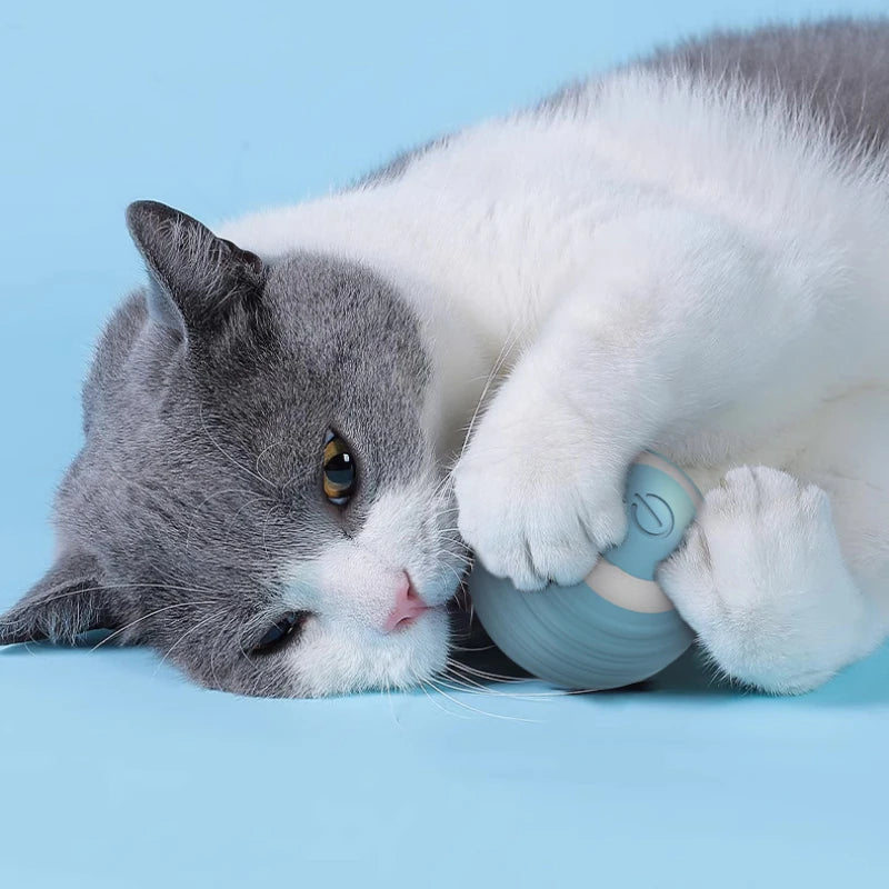 Balle Interactive pour Chat - Jouet Entraînement pour Chaton - Balle Électrique Automatique en Mouvement - Jouet Magique Électronique pour Chat
