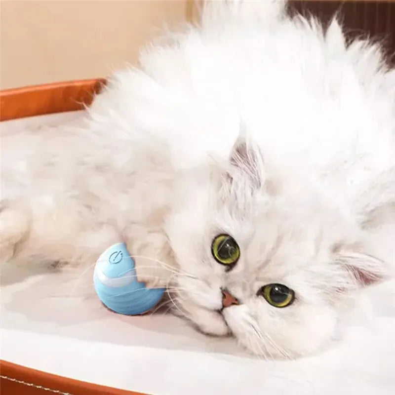 Balle Interactive pour Chat - Jouet Entraînement pour Chaton - Balle Électrique Automatique en Mouvement - Jouet Magique Électronique pour Chat
