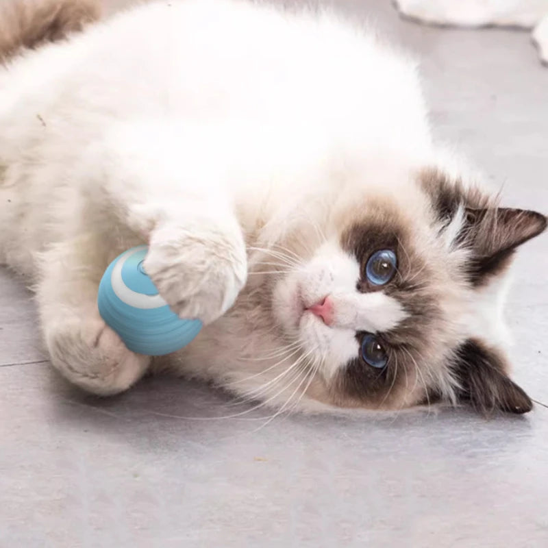 Balle Interactive pour Chat - Jouet Entraînement pour Chaton - Balle Électrique Automatique en Mouvement - Jouet Magique Électronique pour Chat